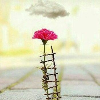 دانلود آهنگ  یه نشونه بده میخوام بیام به دیدنت با صدای زن هوش مصنوعی هایده